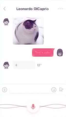 ddos怎么简单攻击一个网站软件程序维护界面